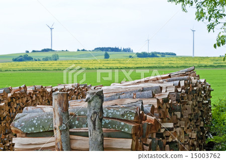 fuel-wood and wind-wheels fuel-wood and wind-wheels 15003762