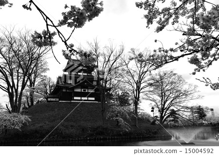Takada castle and cherry blossoms 15004592