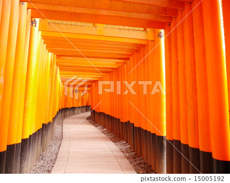 Torii no michi Torii no michi 15005192