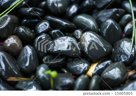 Rokugien的花園石 15005805