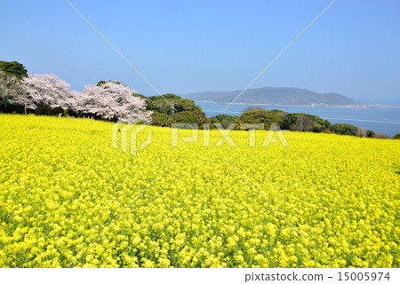 Spring of Nokojima Spring of Nokojima 15005974