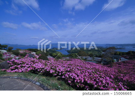 Nagisakushan 15006665