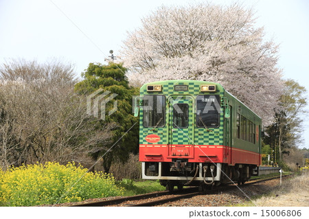 Spring Moka Railway 15006806