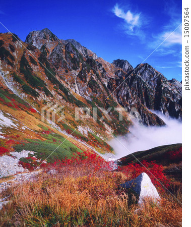 Kendo and autumn leaves Kendo and autumn leaves 15007564