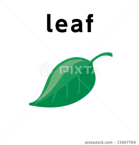 英語單詞1 _ ice _ 12/25 15007769