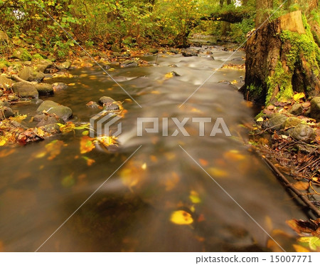 Old stony bridge above autumn river. Clear water 15007771