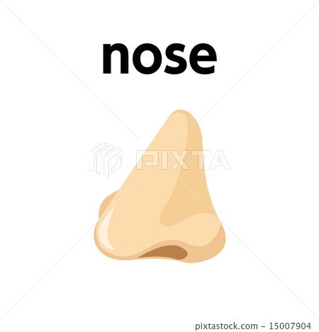 英語單詞1 _ nose _ 16/25 15007904