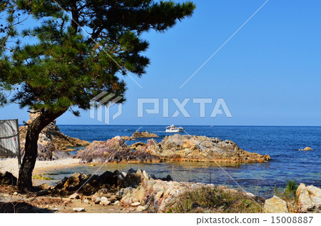 Tottori prefecture Shirohara Coast pine and a pleasure boat 15008887