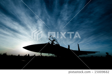 Fighter 15009682
