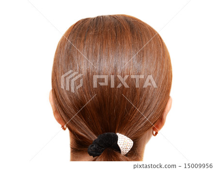 hairstyle on white background hairstyle on white background 15009956