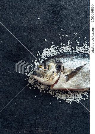 Gilthead fish 15009990