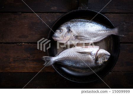 Gilthead fish Gilthead fish 15009999