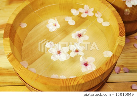 春天的材料·櫻花落在熱水浴缸裡·熱水浴缸鳥瞰水平位置 15010049