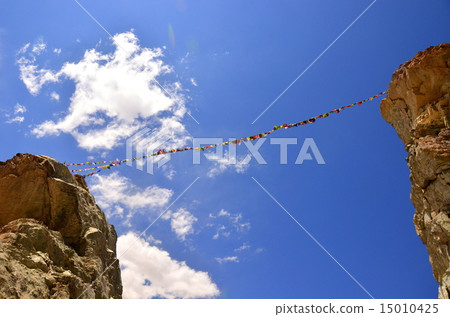 Tarucho in the Himalayas 15010425