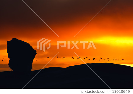 beautiful sunset beautiful sunset 15010649