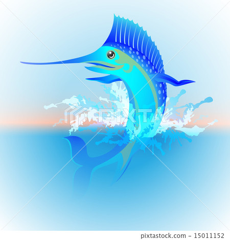 blue marlin jumping out of the water 15011152