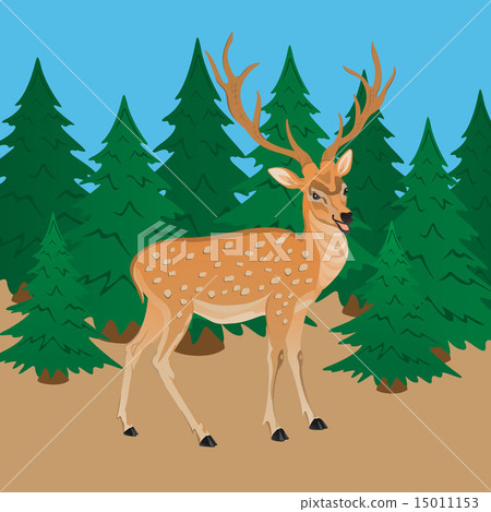 sika deer in a forest 15011153