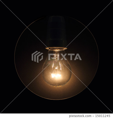 Bulb 15011245