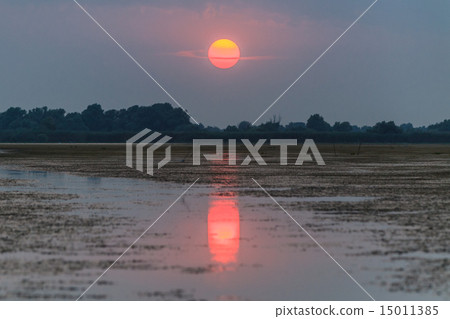 sunset in the Danube Delta sunset in the Danube Delta 15011385