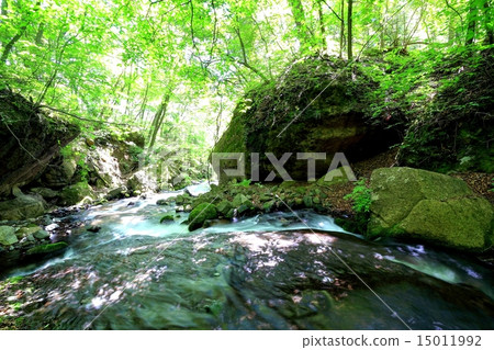 Gulang valley of fresh green Gulang valley of fresh green 15011992