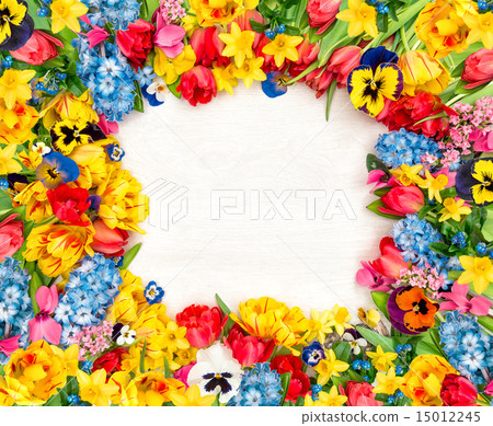 Spring flowers on wooden background. Tulips 15012245