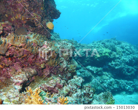水下景觀岩石在與那國島 15013030