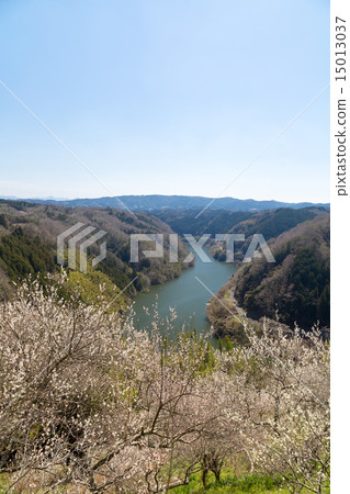 Nazari River from Tsukigase Umebayashi Nazari River from Tsukigase Umebayashi 15013037