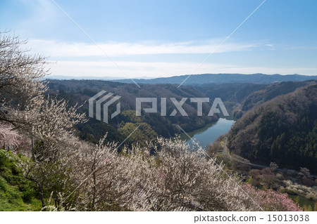 來自Tsukigase Umebayashi的Nazari河 15013038