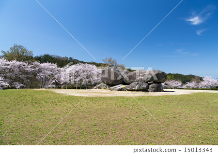 Cherry blossom season's stone arena tomb 15013343