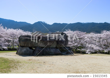 Cherry blossom season's stone arena tomb 15013345