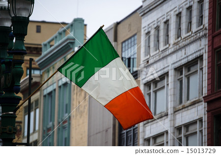 Irish flag 15013729