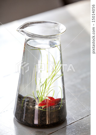 Better in the beaker 15014056