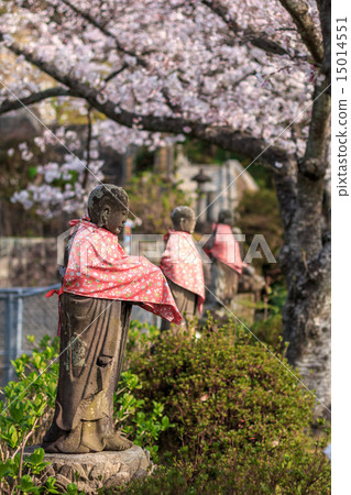 Jizo Jizo 15014551