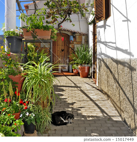 street of Fataga, Gran Canaria, Spain 15017449