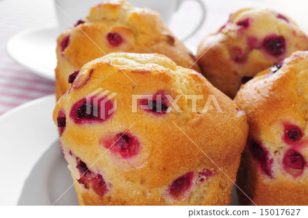 redcurrant muffins redcurrant muffins 15017627
