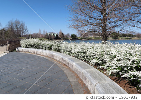 公園Yukiyanagi 15017932