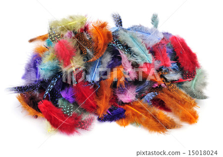 feathers of different colors 15018024