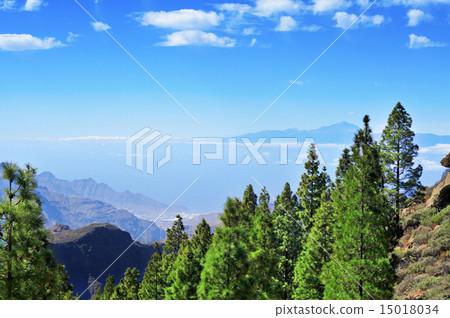 Tenerife Island and Mount Teide seen from the Llano del Roque Nu Tenerife Island and Mount Teide seen from the Llano del Roque Nu 15018034
