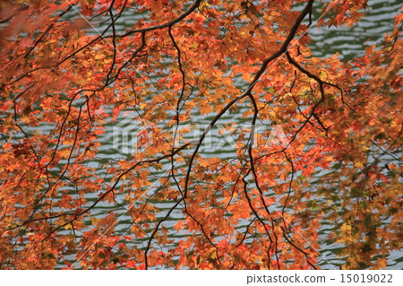 Imperial Gate 1 15019022