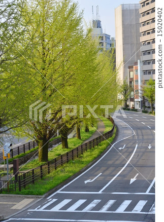Scenery of Kyoto Horikawa dori 15020402