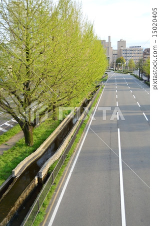 Scenery of Kyoto Horikawa dori 15020405