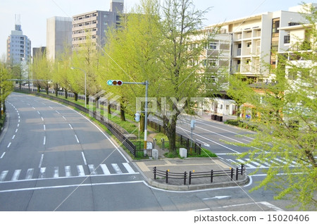 京都堀川通的風景 京都堀川通的風景 15020406