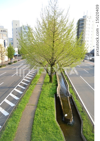 Scenery of Kyoto Horikawa dori 15020409