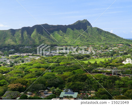 新鮮的綠色鑽石頭 15021049