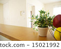 Lovely interior image 15021992