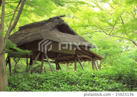 Rokugiyon azalea teahouse 15023136