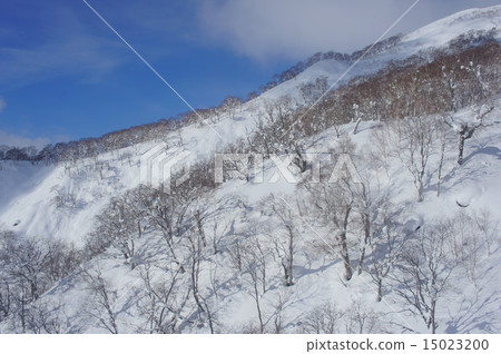 冬天的景色 15023200