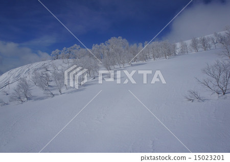 冬天的景色 15023201
