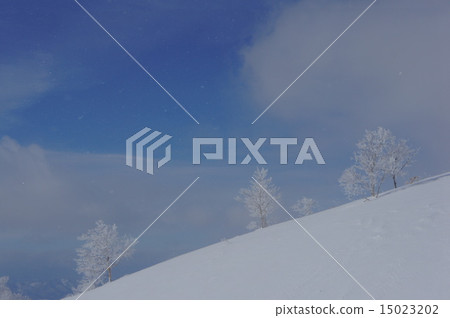 冬天的景色 15023202