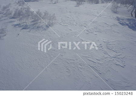 冬天的景色 15023248